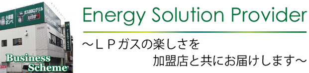 Energy Solution Provider