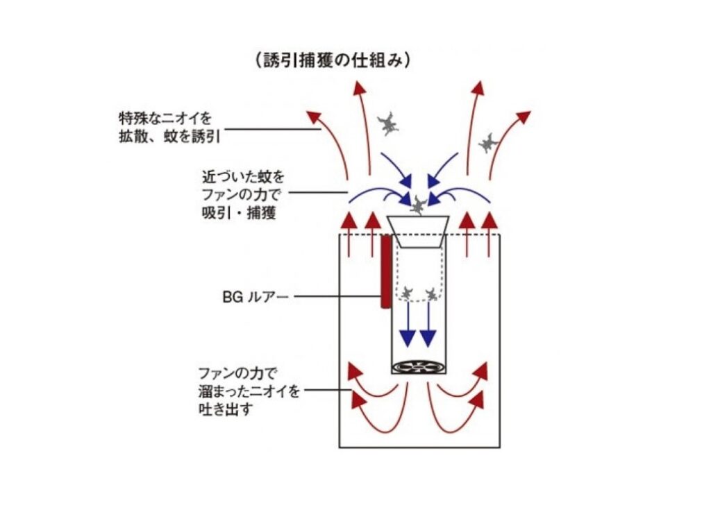 図1